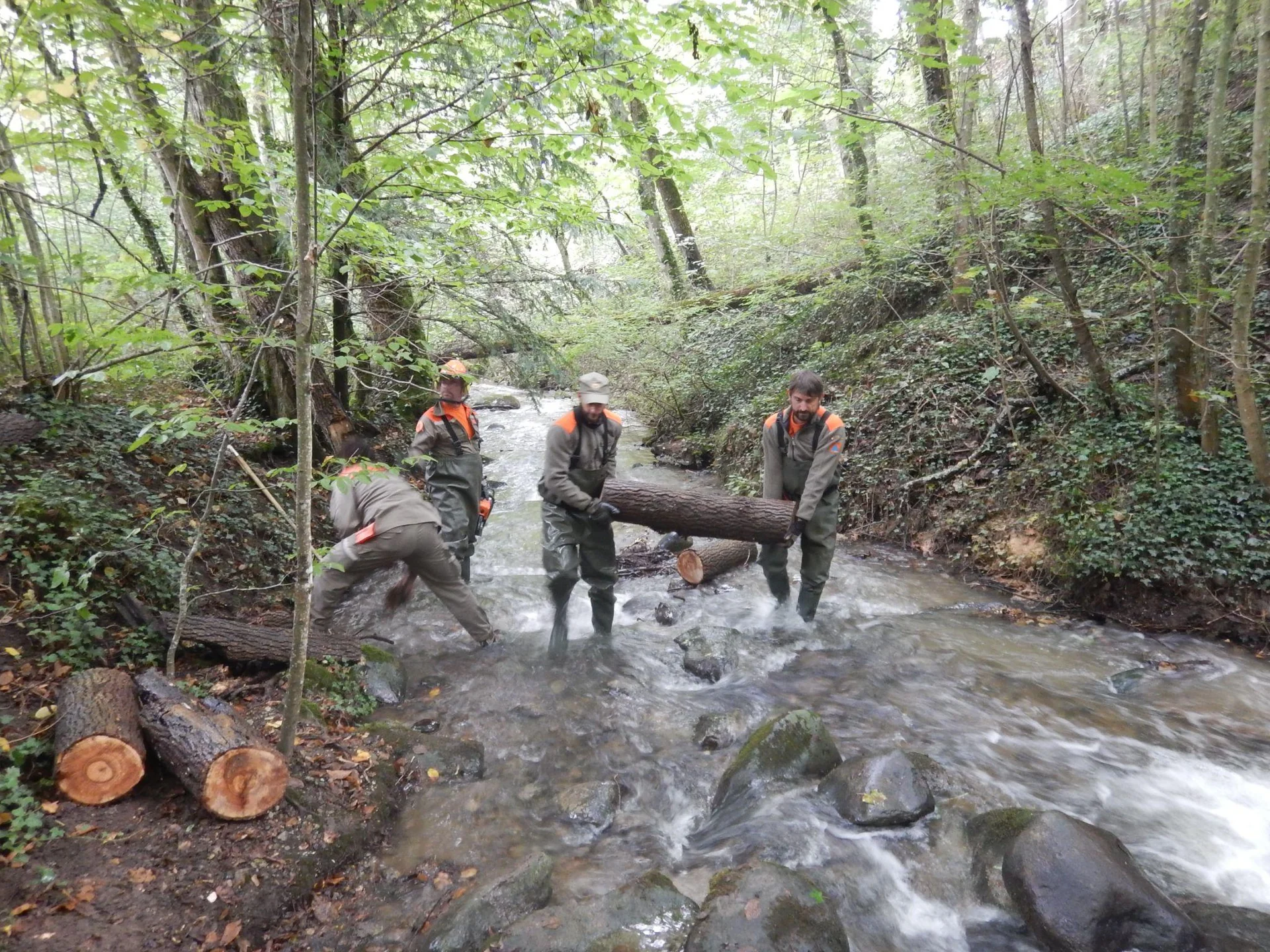 Une équipe de l’ORPC évacue un tronc dans un cours d’eau lors du cours d’appui de septembre 2025.